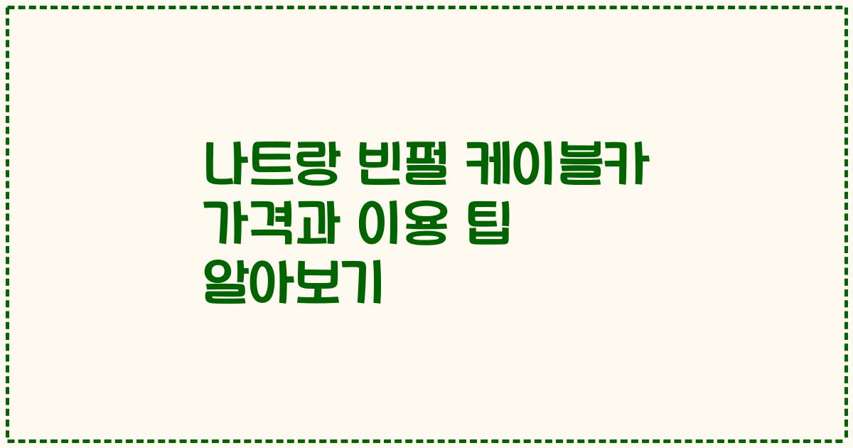 나트랑 빈펄 케이블카 가격과 이용 팁 알아보기